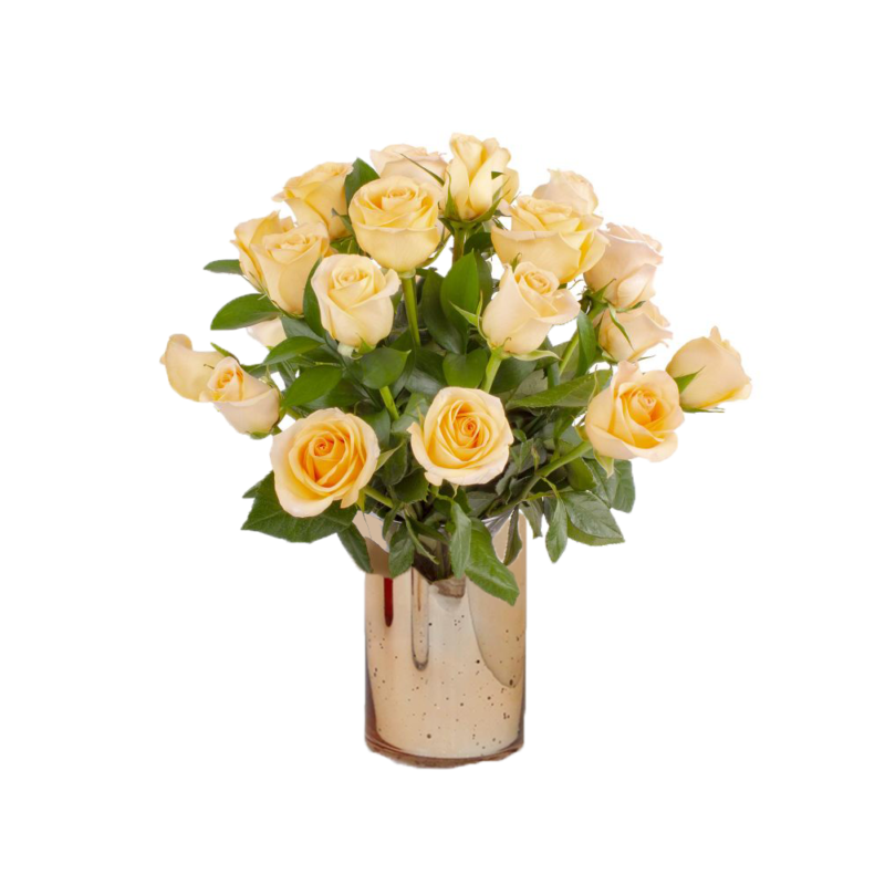 PAQUETE DE ROSAS AL MAYOR Flores Paris